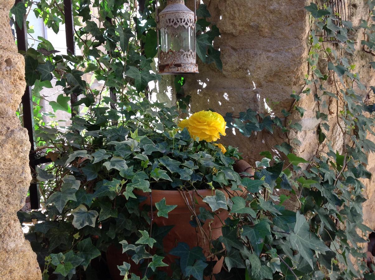 Un Patio En Luberon Bed & Breakfast Ansouis Dış mekan fotoğraf